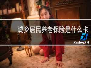 城乡居民养老保险是什么卡