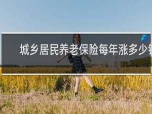 城乡居民养老保险每年涨多少钱