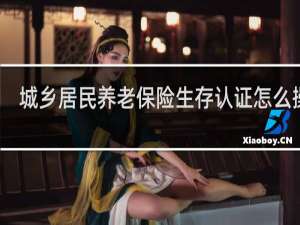 城乡居民养老保险生存认证怎么操作