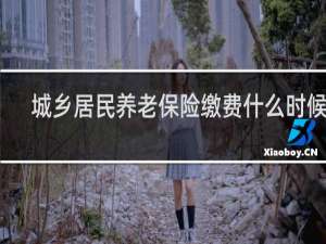 城乡居民养老保险缴费什么时候交