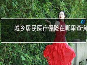 城乡居民医疗保险在哪里查询