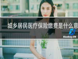 城乡居民医疗保险缴费是什么意思