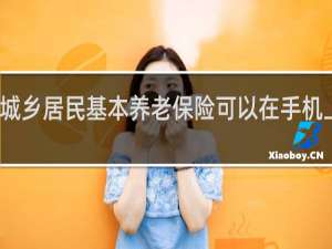 城乡居民基本养老保险可以在手机上交吗