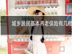 城乡居民基本养老保险有几档
