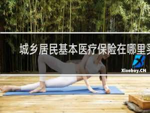 城乡居民基本医疗保险在哪里买