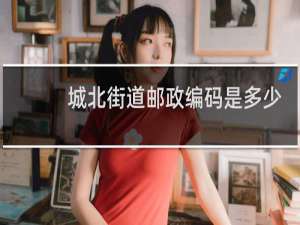 城北街道邮政编码是多少