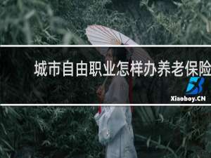 城市自由职业怎样办养老保险