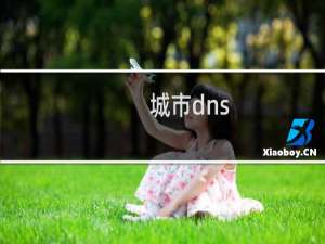 城市dns