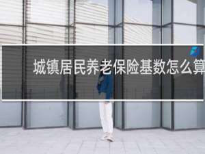 城镇居民养老保险基数怎么算