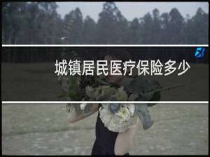 城镇居民医疗保险多少