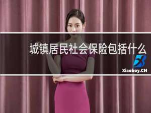 城镇居民社会保险包括什么
