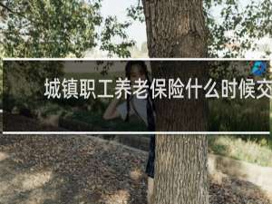 城镇职工养老保险什么时候交
