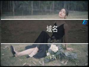 域名( 3.run )续费失败 检查原因且授权续费该域名 2