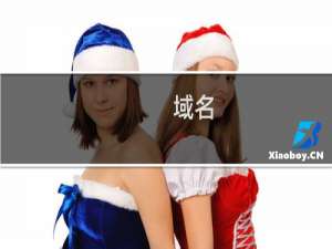 域名( biao.pro )续费失败 检查原因且授权续费该域