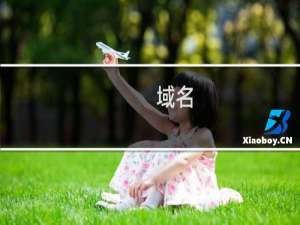 域名( dzhm.org.cn )续费失败 检查原因且授权续