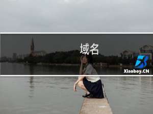 域名( fanyinao.com )续费失败 检查原因且授权