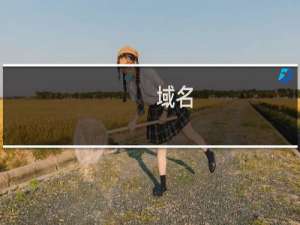 域名( hxmlyx.com )续费失败 检查原因且授权续费