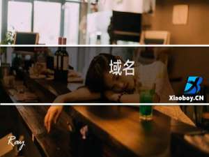 域名( jnybkj.com )续费失败 检查原因且授权续费