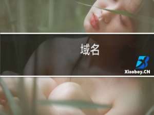 域名( jsd2009.cn )续费失败 检查原因且授权续费