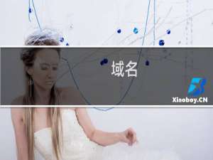域名( nare.xyz )续费失败 检查原因且授权续费该域