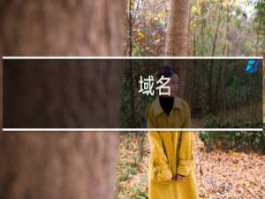 域名( porno.hk )续费失败 请检查原因（不用操作续