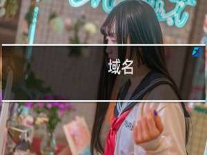 域名( scfoodsafe.cn )续费失败 检查原因且授