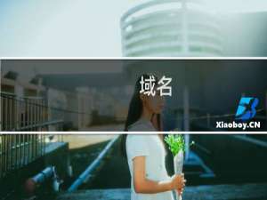 域名( tencent.ink )续费失败 检查原因且授权续