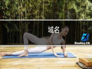 域名( ufo.work )续费失败 检查原因且授权续费该域