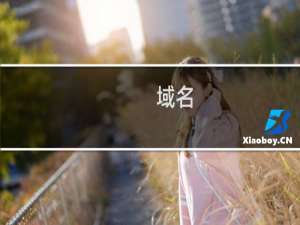 域名( vici.group )续费失败 请检查原因（不用操