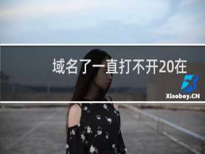 域名了一直打不开 在服务器里面可以打开