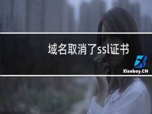 域名取消了ssl证书之后 仍然带着https 导致网站打不开