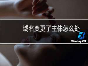 域名变更了主体怎么处理-备案平台