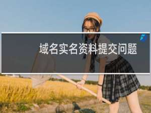 域名实名资料提交问题-域名及账户问题