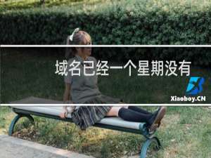 域名已经一个星期没有处理