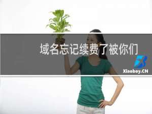 域名忘记续费了被你们续费了怎么办