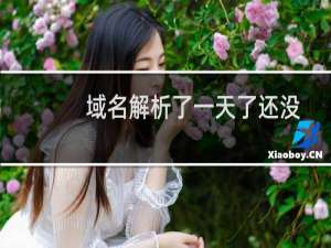 域名解析了一天了还没解析生效呢？