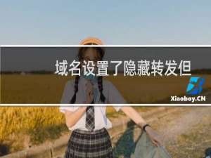 域名设置了隐藏转发但是还是会显示IP地址