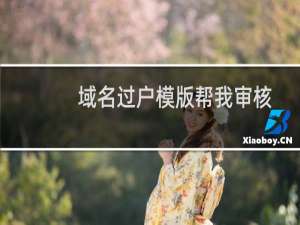 域名过户模版帮我审核下-域名及账户问题