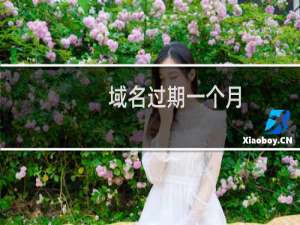 域名过期一个月，如何续费