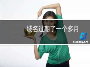 域名过期了一个多月，忘续费怎么处理？