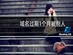 域名过期1个月被别人2017年注册