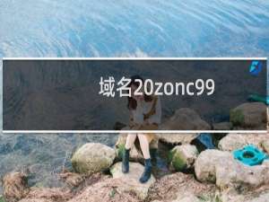域名 zonc99.com 要过户给名为“太原  众诚日用品