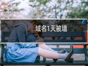 域名1天被墙，明显坑人-其他问题
