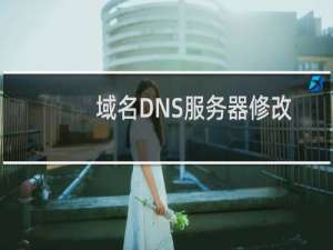 域名DNS服务器修改报错
