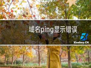 域名ping显示错误-域名及账户问题