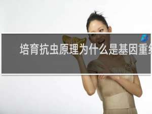 培育抗虫原理为什么是基因重组