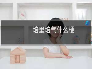 培里培气什么梗？培里培气是什么意思什么梗
