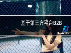 基于第三方平台B2B