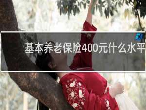 基本养老保险400元什么水平