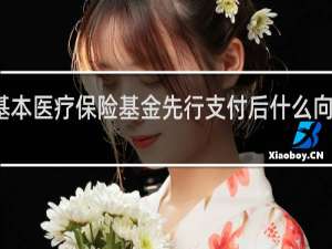 基本医疗保险基金先行支付后什么向第三方